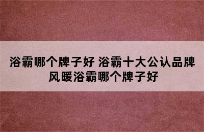 浴霸哪个牌子好 浴霸十大公认品牌 风暖浴霸哪个牌子好